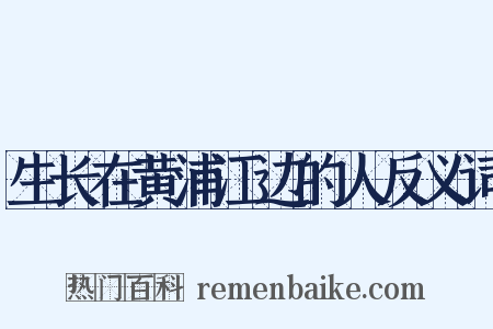 生长在黄浦江边的人反义词是什么意思的图片